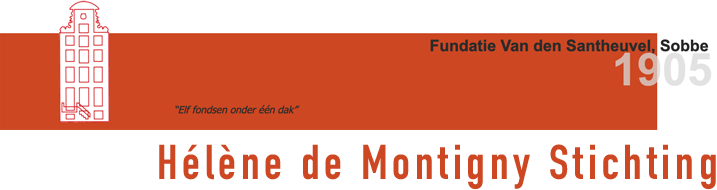 Hélène de Montigny Stichting